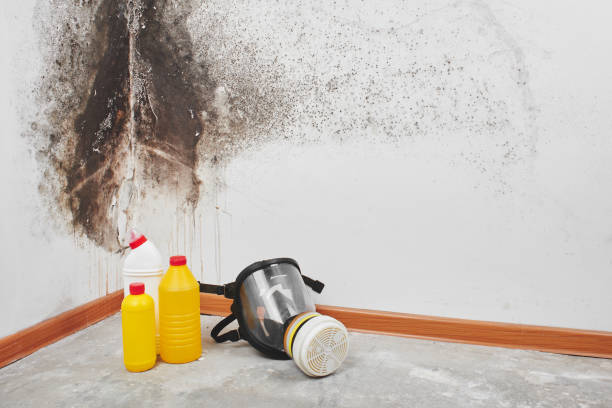 Water Damage Restoration in Harvey, MI