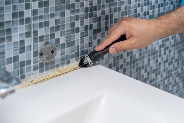 Best Mold Testing  in Harvey, MI