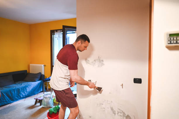 Best Certified Mold Removal  in Harvey, MI